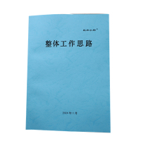 欣和小杨 定制整体工作思路 210x297mm (单位:本)