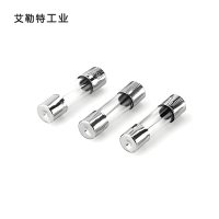 艾勒特工业 玻璃保险管 6*30 /个