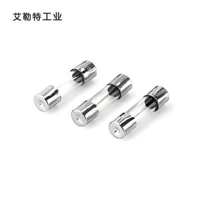 艾勒特工业 玻璃保险管 6*30 /个