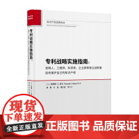 正版 专利战略实施指南 发明人 工程师 科学家 [美]唐纳德.S.雷米 著 刘艳 石蕊 樊江波 等 译 知识产权出版社