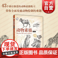 动物素描(版) 西方经典美术技法 自学零基础入门教材 临摹范本美术写生初学教程教材 猫咪狗狗艺术 上海人民美术出版社