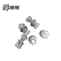 洋蝲蝲 穿钉带帽 16*120mm 个