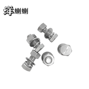 洋蝲蝲 穿钉带帽 16*120mm 个