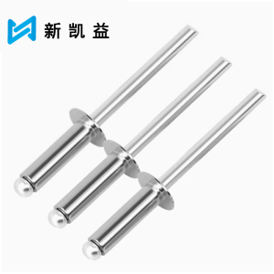 新凯益 304不锈钢抽芯铆钉 4.8*9 个