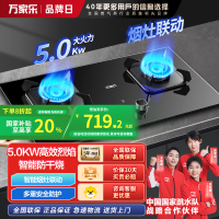 万家乐JZT-KV063B烈火灶可烟灶联动燃气灶具家用厨房台嵌两用双眼灶一级能效5.0KW火力天然气