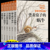 杨红樱科学童话系列画本 全6册 [正版]杨红樱科学童话系列画本 全6册 小学生三四五六年级课外阅读书籍老师9-12岁科学