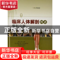 正版 临床人体解剖图谱:骨科分册:Orthopaedic volume 陈金宝主编
