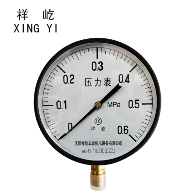 祥屹+压力表检测定制型+Y250+块