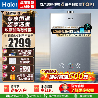 海尔(Haier)燃气热水器16升天然气家用双循环恒温无级变频水伺服五段微火TSI增压密闭稳燃舱一级降噪 KL7S-恒星