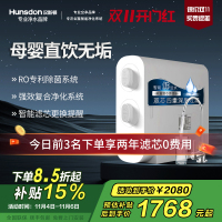 汉斯顿/Hunsdon 0阻垢剂添加净水器家用直饮净水机厨下式RO反渗透母婴直饮机自来水过滤器D3