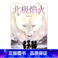 [正版]北极焰火 许诺晨 著 中国当代儿童文学 中小学生青少年儿童读物 江苏凤凰教育出版社