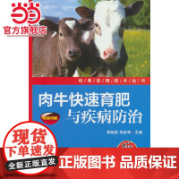 肉牛快速育肥与疾病防治