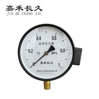 嘉禾长久 远传压力表 YTZ150 个
