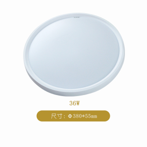 格瑞捷 LED三防吸顶灯 GRJ-XDD-20010-40W 个