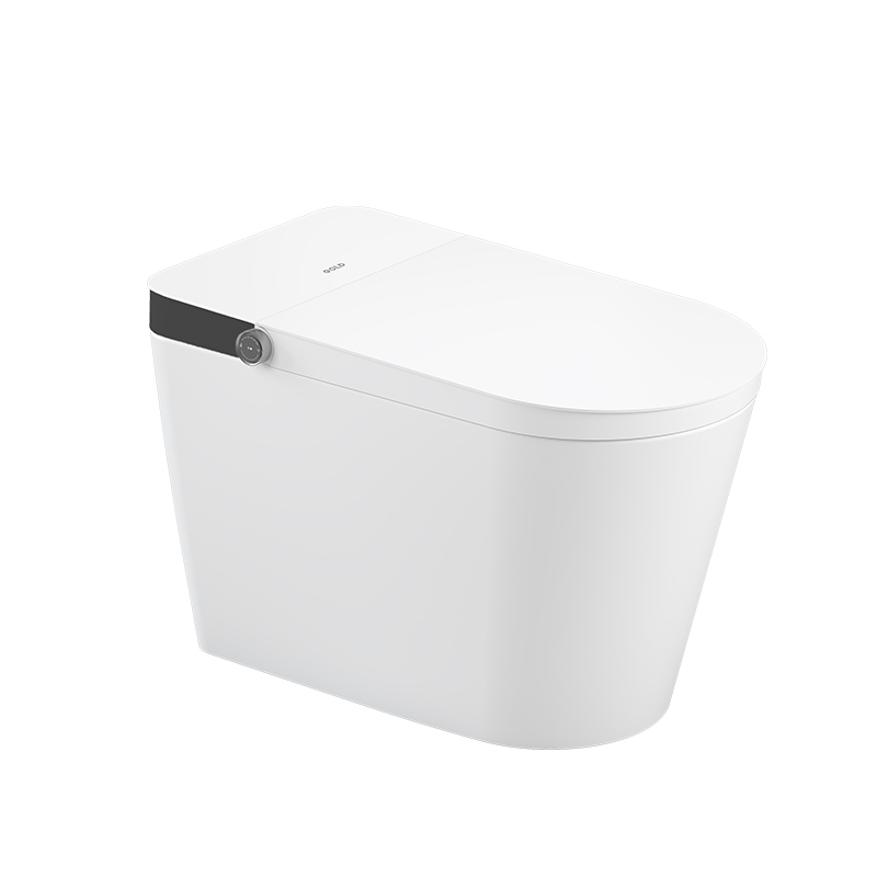 金牌卫浴GOLD 高颜值 家用 脚感冲水全智能马桶 KA(不含安装)RF3217Z-01