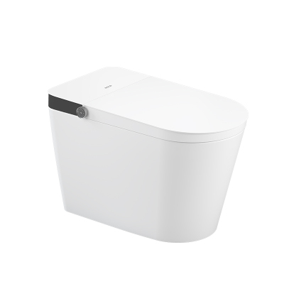 金牌卫浴GOLD 高颜值 家用 脚感冲水全智能马桶 KA(不含安装)RF3217Z-01