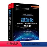 [正版]数智化 数字政府 数字经济与数字社会大融合