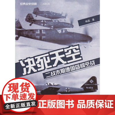 决死天空——二战末期德国昼间空战