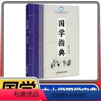 [正版]名校指典系列国学指典 四五六年级小升初小学生文言文启蒙核心素养模块专练 成都名校名师考点方法指导宝典赵兴主编