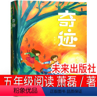 五年级课外书全6册 [正版]奇迹 萧磊著未来出版社 五年级课外书必读 指间阳光 少年戴维和猫 追星星的少年 尼姆的老鼠少