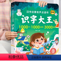 汉字启蒙有声点读书:识字大王 [正版]A识字大王汉字启蒙有声书宝宝认字书汉字认知会说话的早教有声书幼儿园儿童拼音手指点读
