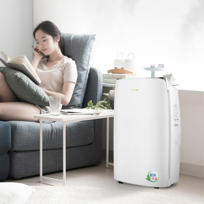 除湿机抽湿机低噪地下室工业吸湿器大面积去湿机空气干燥机 40L/天 70-120㎡ DH40EFA1A [40升]