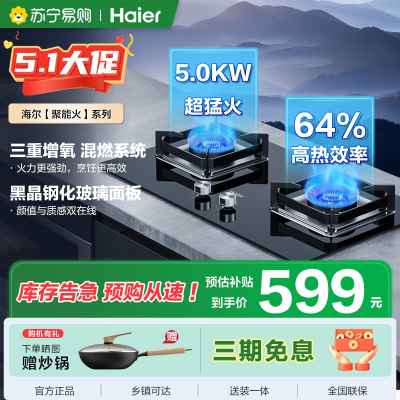 海尔Haier一级能效智能点火双眼燃气灶台嵌液化气燃气灶Q2BE6(20Y)