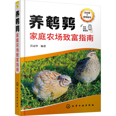 养鹌鹑家庭农场致富指南