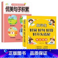 [推荐]好词好句好段开头结尾+优美句子 共2本 [正版]好词好句好段大全小学生一二三四年级语文积累本优美句子摘抄本好开头