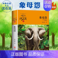 象母怨 [正版]狼王梦 动物小说大王沈石溪品藏书系 四五六年级中小学生课外图书读物文学小说作品 浙江少儿出版社 8-9-