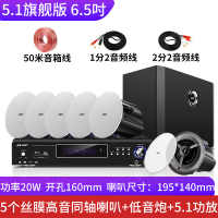先科(SAST)吸顶式5.1家庭影院音响套装电视机家用客厅吊顶音箱3d环绕立体声嵌入式重低音功放套装蓝牙KTV