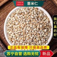 甄选大薏米仁100克干货正品煮水大薏苡仁新货铁白薏米苡米仁大粒薏苡仁