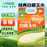 十月稻田白糯玉米2.08kg东北甜黏玉米棒