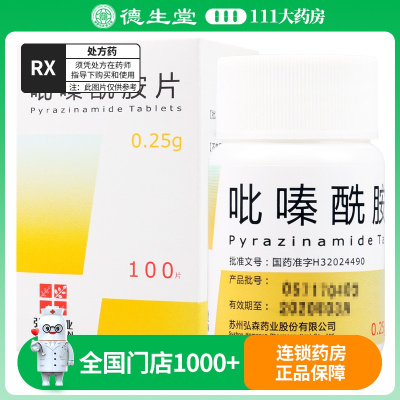 HOMESUN 吡嗪酰胺片 0.25g*100片*1/瓶/盒