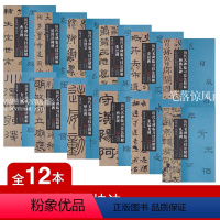 [正版]全12本 历代名碑临习技法精解 曹全碑张迁碑乙瑛碑礼器碑峄山碑石鼓文史晨碑石门颂西狭颂张猛龙碑颜勤礼碑道因法师