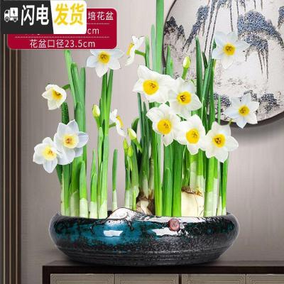 三维工匠新中式禅意铜钱水仙花专用水培花盆载植物好养创意陶瓷室内个 翡翠惊涛骇浪(大)水培花盆(不含水仙) 20-花盆容器