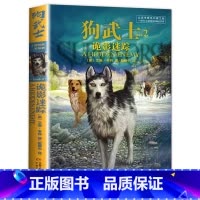 首部曲2:诡影迷踪 [正版]狗武士全套12册 狗武士首部曲二部曲外国经典动物小说作者艾琳亨特猫武士系列作品集小学生7-1