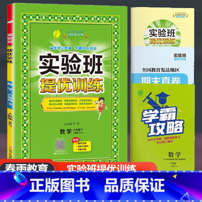 数学 人教版 六年级下 [正版]2024新版实验班提优训练六年级下册数学人教版RJ 小学6年级下同步训练课时练习作业本小