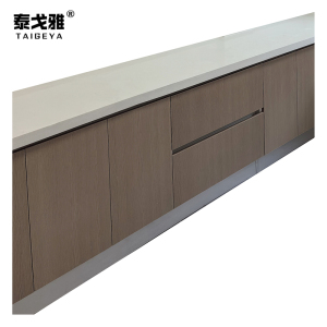 泰戈雅 大理石台面储物柜(按米定制) TGY-035 米