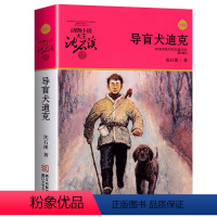 21:导盲犬迪克 [正版]任意挑选沈石溪动物小说全集 全套40册狼王梦斑羚飞渡经典三四五六年级小学生课外阅读书籍老师经典