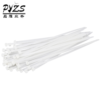 品雁众升 尼龙扎带10*550mm/100根/包