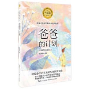 正版新书]爸爸的计划张婴音9787570209118