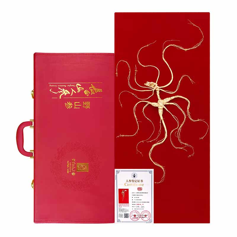 长白山人参野山参A8约20-45年干货礼盒野山参16g*1盒