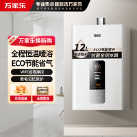 万家乐DP1燃气热水器12L家用 智能恒温强排 ECO节能变升