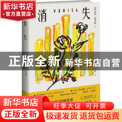 正版 消失 (美)苔丝·格里森著 新星出版社 9787513351232 书籍