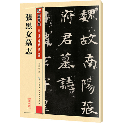 墨点字帖:传世碑帖精选·张黑女墓志·毛笔书法字帖