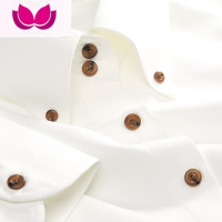 七斓轻奢绒柔软弹力衬衫男长袖春季高端修身商务休闲免烫男士衬衣