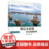 柴达木盆地盐类成藏系统 潘彤等 科学出版社9787030817112