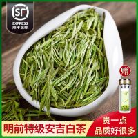 八闽东华黄金芽正宗安吉白茶2025年明前新绿茶叶散装礼盒装500g