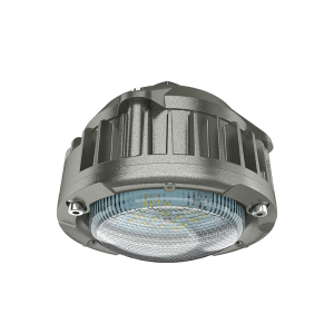 欧辉照明 (OHUIZAOMIN) LED防爆灯 OHBF9185 30W DC24V 台 灰色